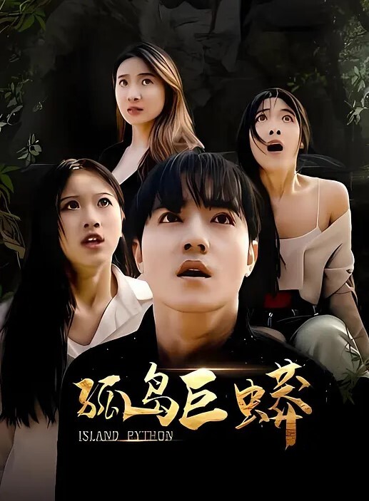 多乙寂寞空姐圣诞液 - 灯塔影院海报